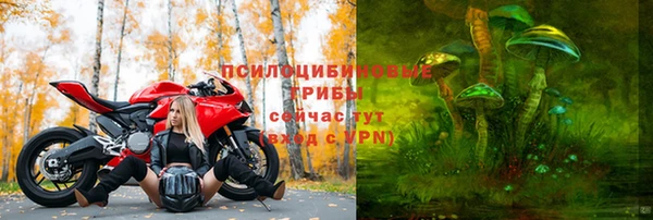 ECSTASY Абинск
