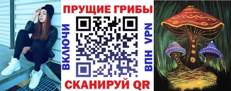Псилоцибиновые грибы MAGIC MUSHROOMS  блэк спрут рабочий сайт  Красновишерск 